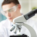 Haftpflicht- und Risikolebensversicherungen sind weithin ein wichtiger Bestandteil Haftpflicht- und Risikolebensversicherungen sind weithin ein wichtiger Bestandteil